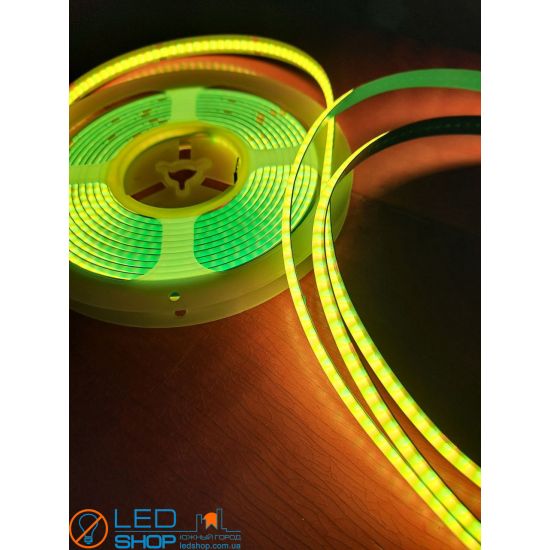 СВЕТОДИОДНАЯ ЛЕНТА FLT 62RGB