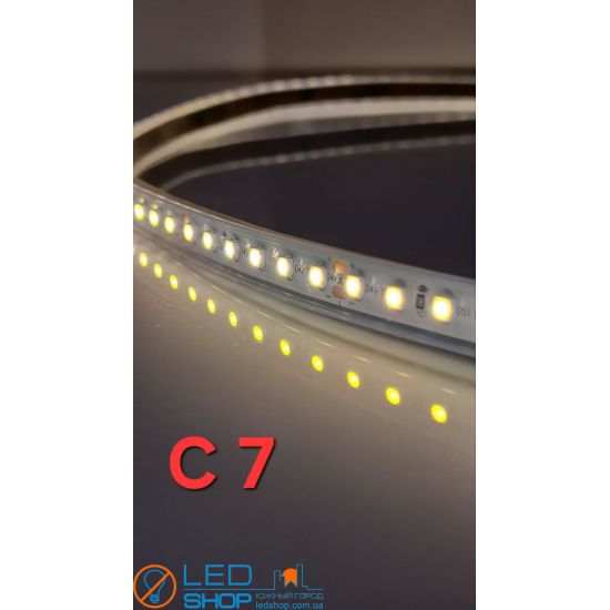 Светодиодная лента FLT 13-24V Светодиодная лента FLT 13-24V