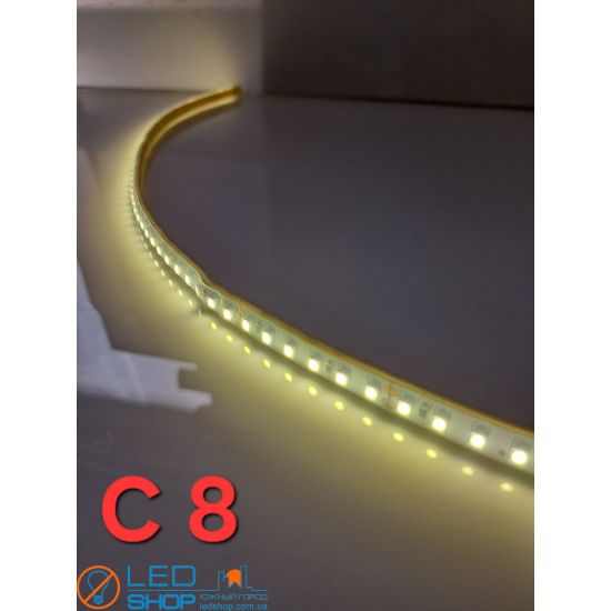 Светодиодная лента FLT 13-24V Светодиодная лента FLT 13-24V