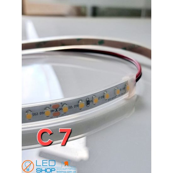 Светодиодная лента FLT 13-24V Светодиодная лента FLT 13-24V