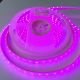 LED strip FLT 81RGB-T