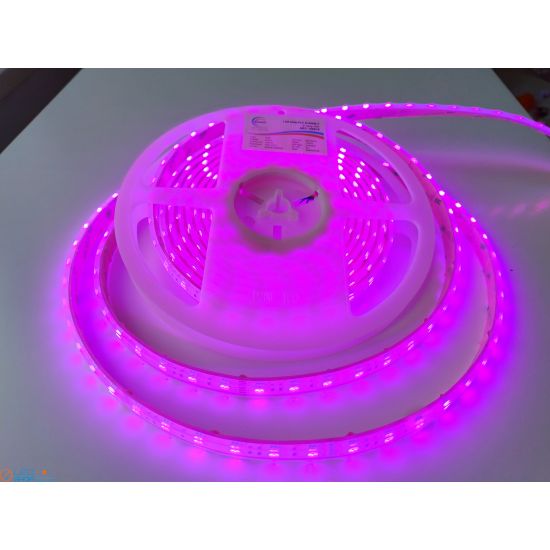 LED strip FLT 81RGB-T