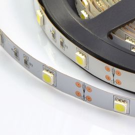 LED strip FLT 6PWR