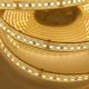 LED strip FLT 80UWW-T-C7