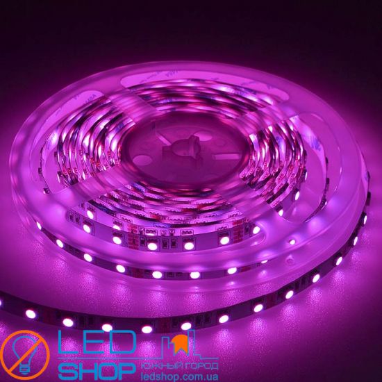 LED Strip FLT 12RGB Ultra Bright-P