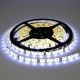 LED strip FLT 9