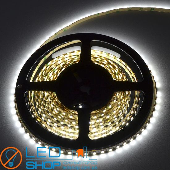 LED strip FLT 12